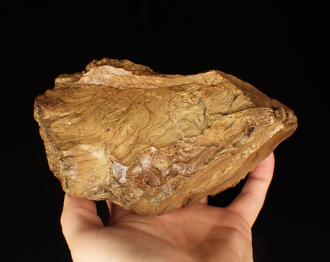 Petrified Wood with Fluorescent Amber 16,0 x 9,0 x 7,5 cm Indonesia 12884