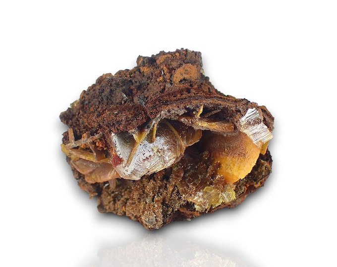 WULFENITE with endlichite 5,0 x 4,3 x 3,7 cm from MEXICO 11657