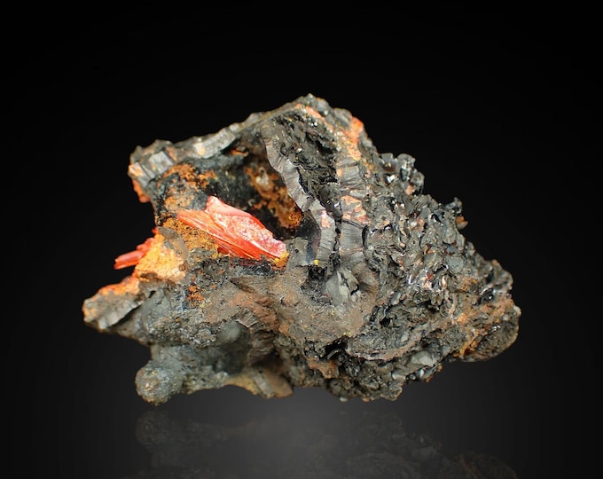 CROCOITE crystals 4,0 x 2,7 x 2,0 cm from AUSTRALIA 13223
