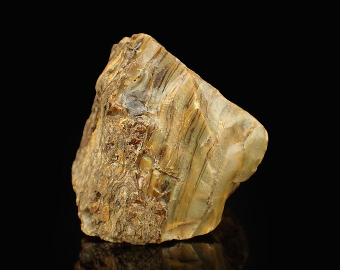 Petrified Wood with Fluorescent Amber 8,0 x 5,5 x 4,5 cm Indonesia 12880