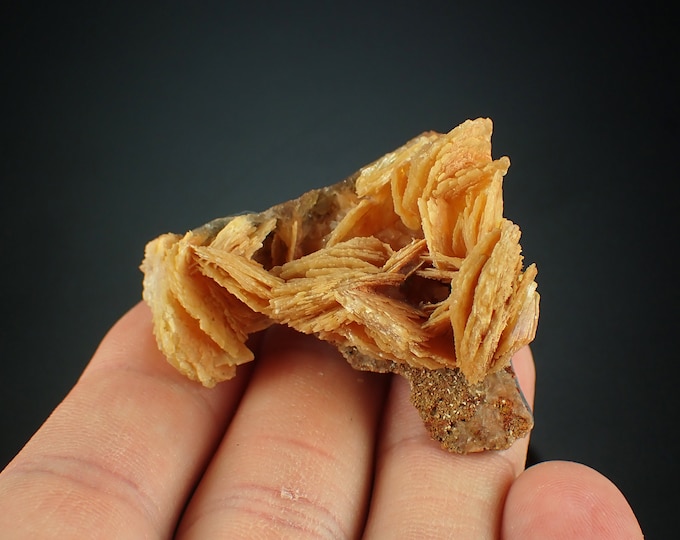 Baryte rose crystal cluster Ojuela mine, Mexico 1072N