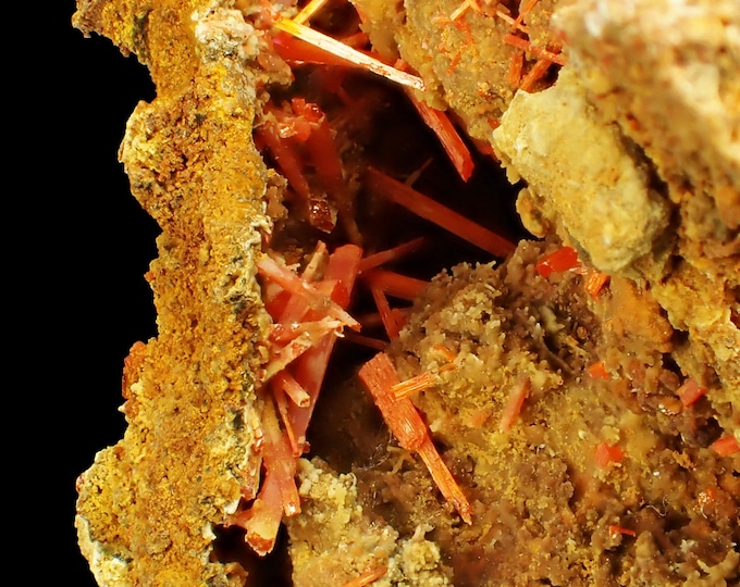 CROCOITE crystals on matrix 6,0 x 4,8 x 3,0 cm from AUSTRALIA 13293