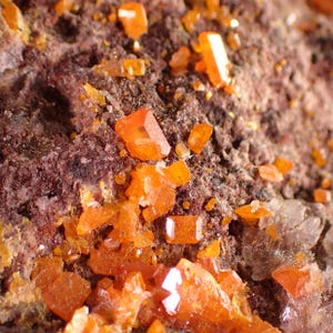 May include: A mineral specimen featuring vibrant orange, translucent, tabular crystals embedded in a dark, textured, reddish-brown matrix. The crystalline structures exhibit sharp, geometric facets and a glassy lustre, contrasting against the rough, granular surface of the surrounding rock formation.