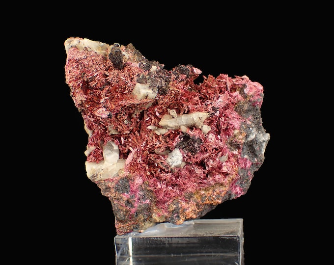 ERYTHRITE crystals on matrix 6,5 x 5,7 x 5,5 cm MOROCCO 12849