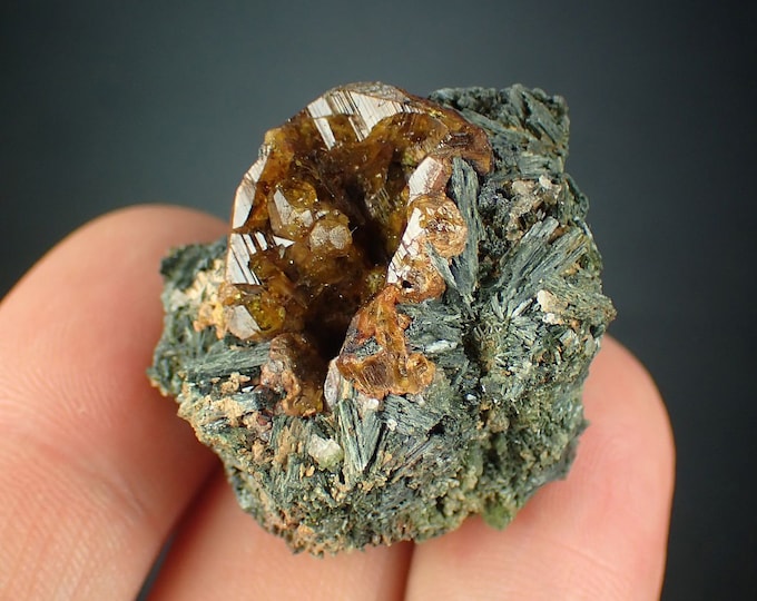 ANDRADITE garnet with actinolite crystals 1123N