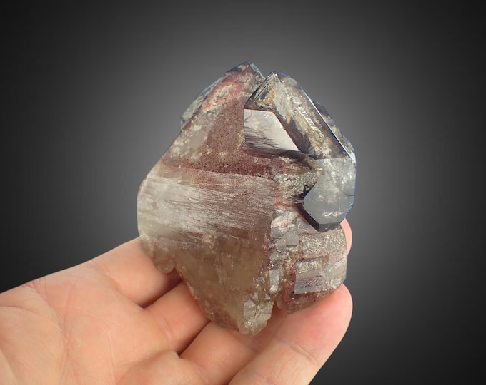 SMOKY QUARTZ scepter crystal 7,5 x 7,0 x 3,3 cm NAMIBIA 13000