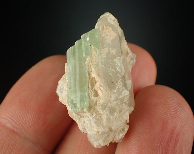 TOURMALINE green crystal cluster from AFGHANISTAN 1152N