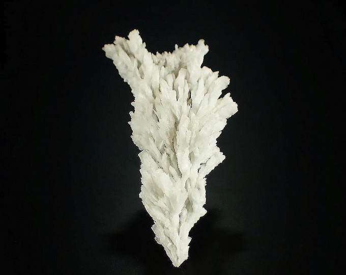 BARYTE arborescent crystals from SPAIN 11587