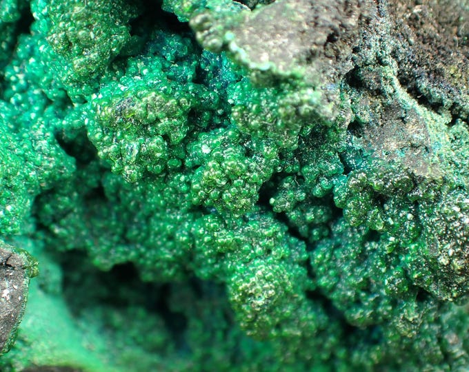 MALACHITE Crystals on Matrix - Katanga, DR Congo