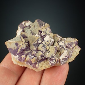 Cristalli viola di FLUORITE dal MESSICO 1198N