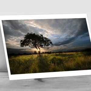 SERATA AFRICANA: cartolina fotografica A6 bianca di Wild Beauty. Ideale per ogni celebrazione. Può essere personalizzato.