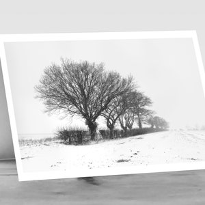 Cartolina fotografica vuota SUFFOLK WINTER. Biglietto d'auguri di alta qualità, artistico, raffigurante una scena rurale di neve e alberi nel Suffolk, Inghilterra.