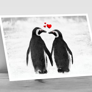 PINGUN Liefde.  Een romantisch pinguïnpaar houdt elkaars hand vast op deze schattige kaart. Vraag je speciale persoon om 'be my pinguïn' te zijn.
