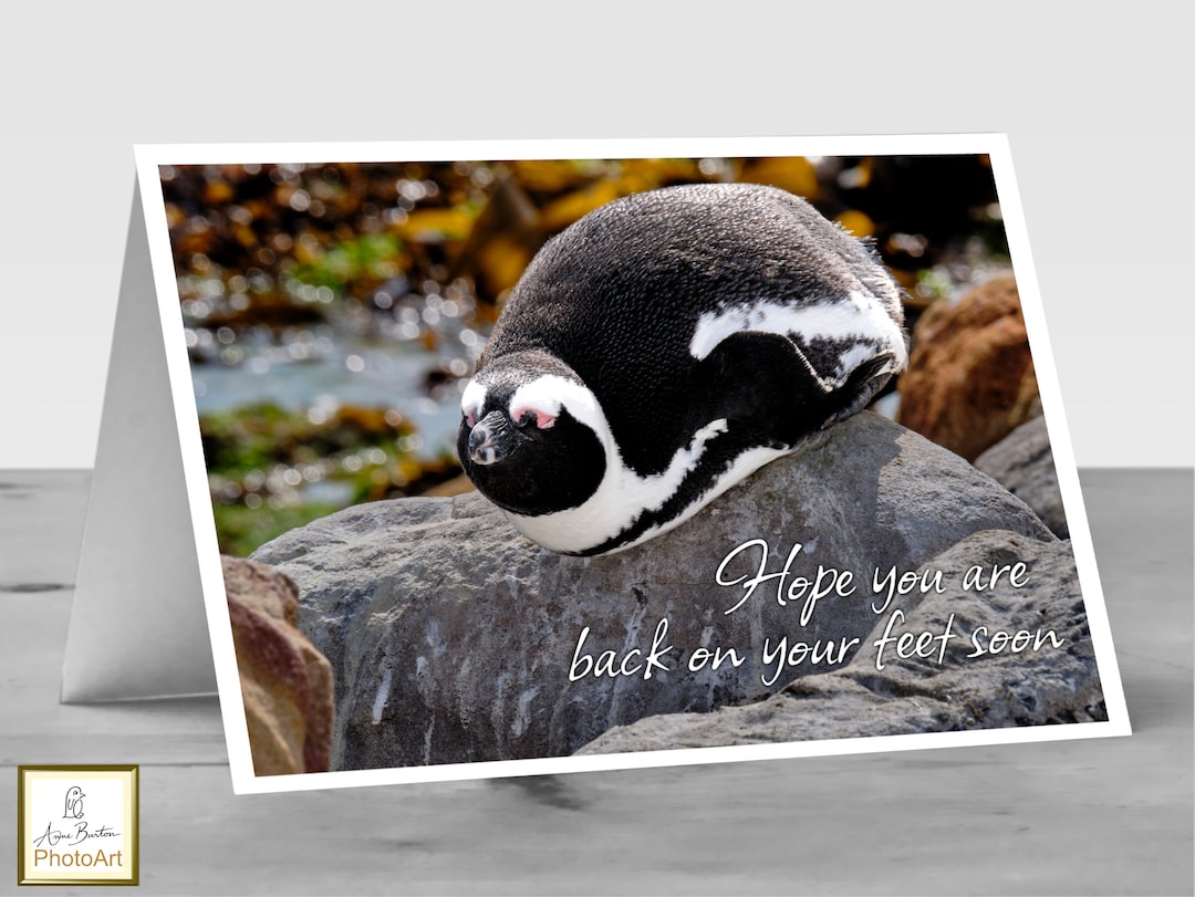GET WELL PENGUIN Card. Hope You Are Back on Your Feet Soon. - Etsy