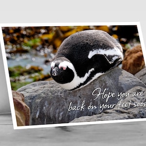 Invia calorosi auguri di pronta guarigione con questo simpatico biglietto GET WELL PENGUIN. Formato A6, di alta qualità e perfetto per chi non si sente bene.