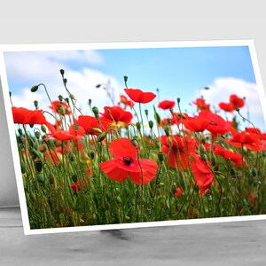Coquelicots rouges captivants : carte de voeux photo A6 personnalisable. De haute qualité et personnalisable.