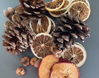 Dried Fruits and cones for flower arranging Kits