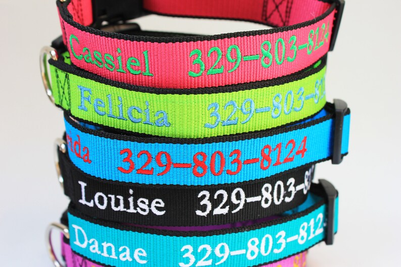 Personalized Dog Collar Leash with Name and Phone Number Etsy