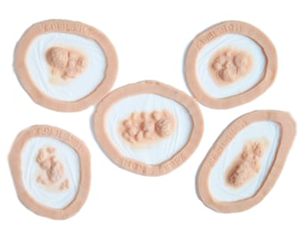 Kit para forúnculos / Prótesis de silicona / Halloween / Sin látex / Maquillaje con efectos especiales / MonsterFX