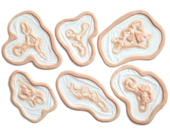 Set de bacterias carnívoras / Prótesis de silicona / MonsterFX / Prótesis de cosplay / Maquillaje de zombi / Halloween / Sin látex / Maquillaje SFX