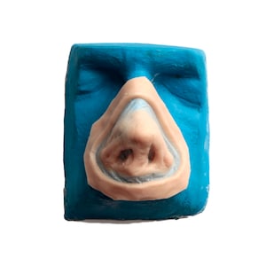 May include: A close-up of a realistic-looking prosthetic nose, molded in a blue silicone base. The nose is made of a soft, flesh-toned material and has a natural-looking shape.