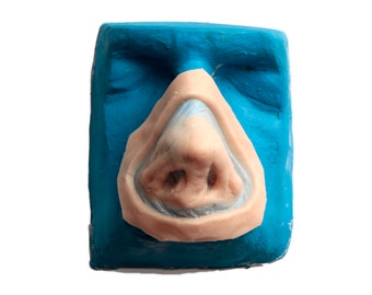Decaying Corpse Nose / Silicone prosthetic / Zombie cosplay / MonsterFX / Halloween prosthetic / Latex free / SFX makeup / Nose prosthetic