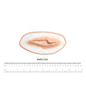 Puede incluir: Una herida falsa de aspecto realista, hecha de silicona, para maquillaje de efectos especiales. La herida es un corte largo y dentado con un borde ligeramente elevado. Tiene aproximadamente 7,5 cm de largo.