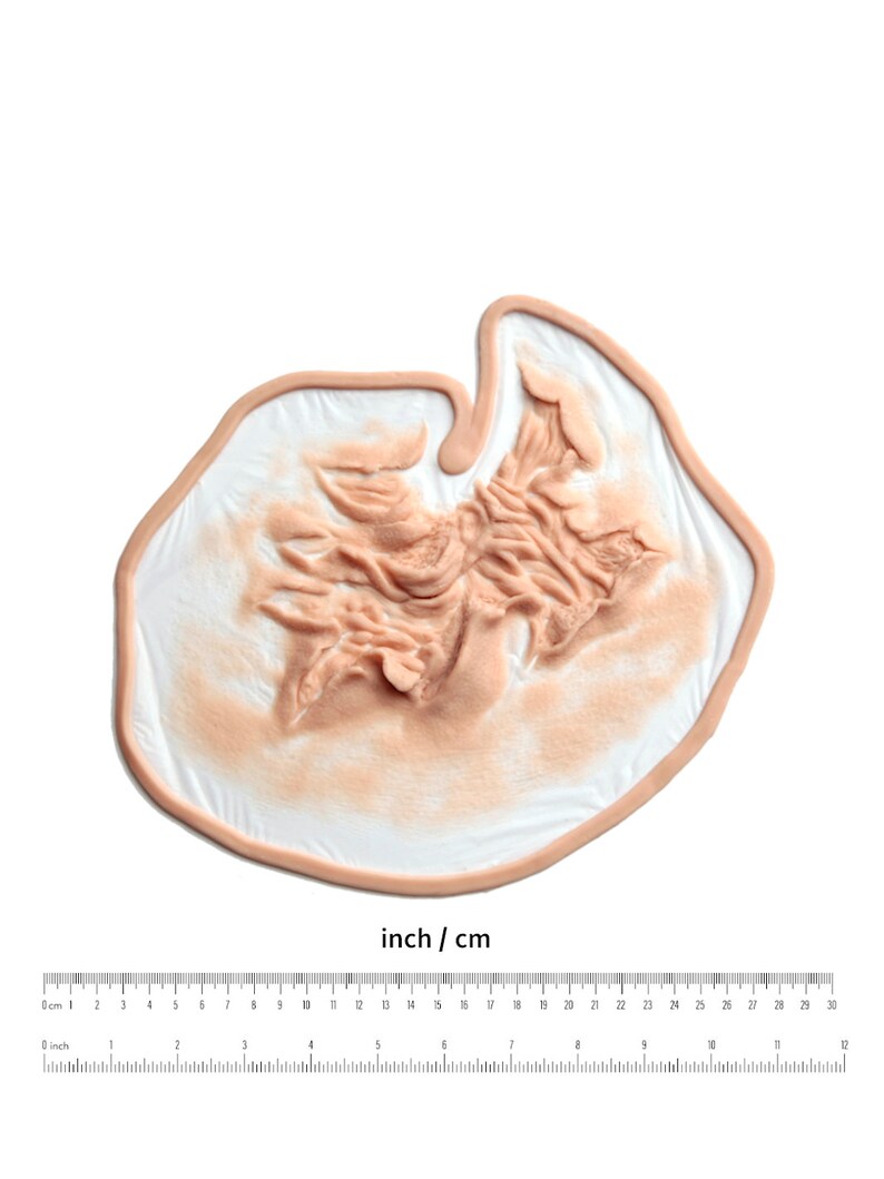 以下が含まれることがあります： 特殊効果メイク用にデザインされた、リアルな見た目の偽の傷跡のクローズアップ。傷跡は薄い茶色で、深い傷のように見えるテクスチャのある表面をしています。