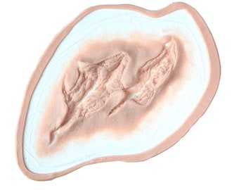 Herida abierta grande / Prótesis de silicona / Sin látex / Prótesis de Halloween / Herida realista / Maquillaje SFX / Prótesis