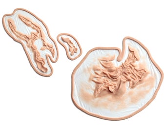 Werewolf Attack Wound (Jack) / Full face prosthetic / Silicone prosthetic / Zombie / Halloween prosthetic / Latex free / SFX makeup / LARP