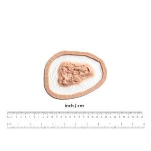 K&ouml;nnte beinhalten: Nahaufnahme einer realistischen, k&uuml;nstlichen Wunde, die f&uuml;r Spezialeffekt-Make-up entwickelt wurde. Die Wunde ist eine gro&szlig;e, offene Schnittwunde mit einer rauen, strukturierten Oberfl&auml;che. Sie hat einen Durchmesser von etwa 5 cm.