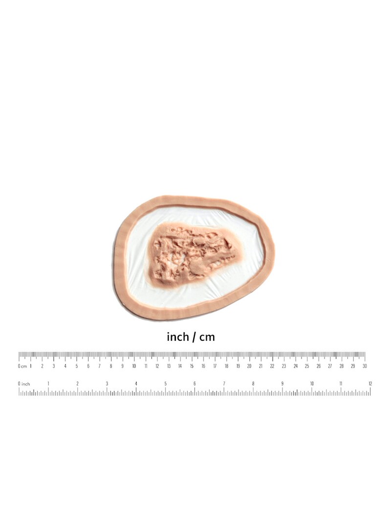 K&ouml;nnte beinhalten: Nahaufnahme einer realistischen, k&uuml;nstlichen Wunde, die f&uuml;r Spezialeffekt-Make-up entwickelt wurde. Die Wunde ist eine gro&szlig;e, offene Schnittwunde mit einer rauen, strukturierten Oberfl&auml;che. Sie hat einen Durchmesser von etwa 5 cm.