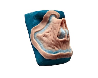 Ghoul Nose / Silicone prosthetic / Cosplay / Fallout / Halloween / Latex free / Special effects makeup / MonsterFX