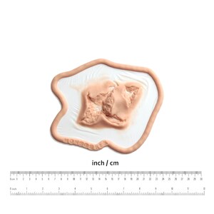 May include: A close-up of a realistic-looking fake wound, designed for special effects makeup. The wound is a deep gash with torn flesh and exposed muscle. The wound is on a white background with a ruler for scale.