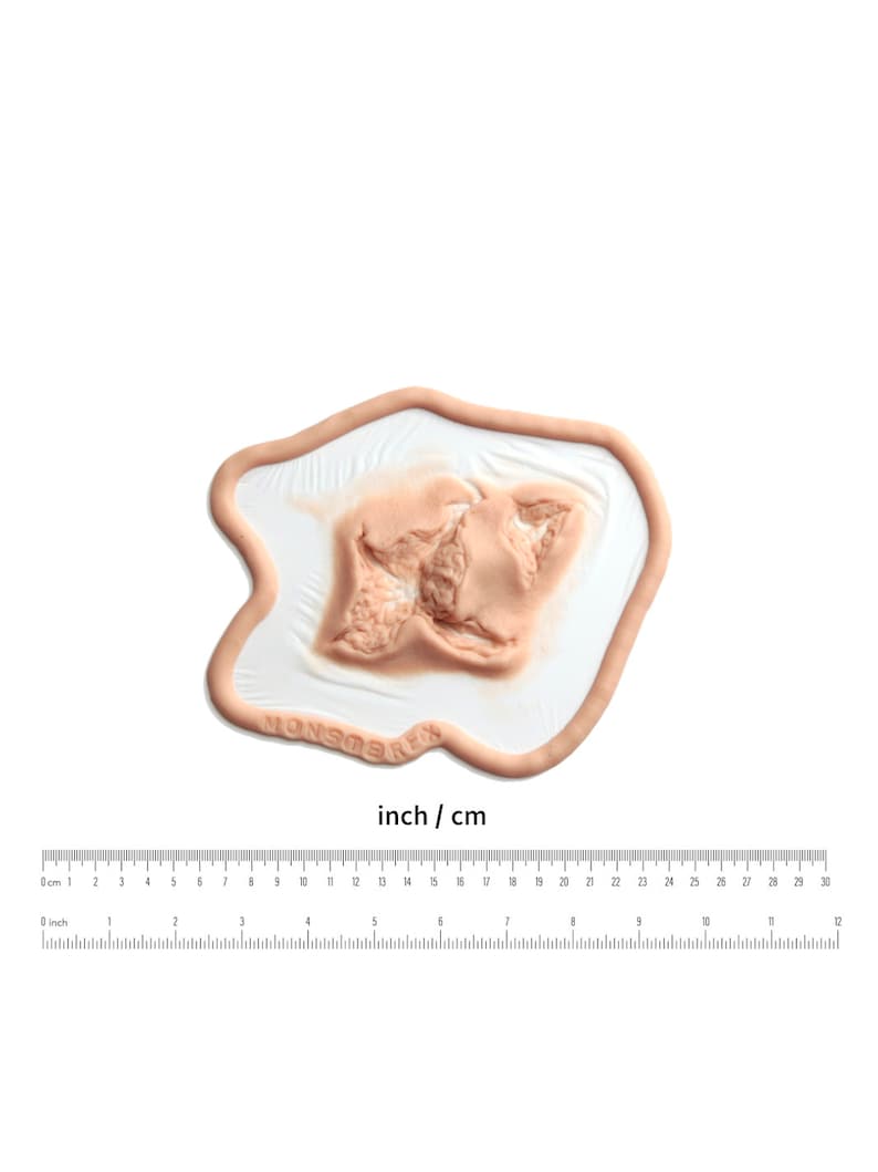 May include: A close-up of a realistic-looking fake wound, designed for special effects makeup. The wound is a deep gash with torn flesh and exposed muscle. The wound is on a white background with a ruler for scale.
