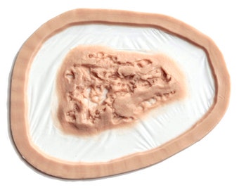 Decayed Flesh Wound 1 / Silicone prosthetic / MonsterFX / Cosplay / Zombie / Halloween / Latex free / Special effects makeup / LARP