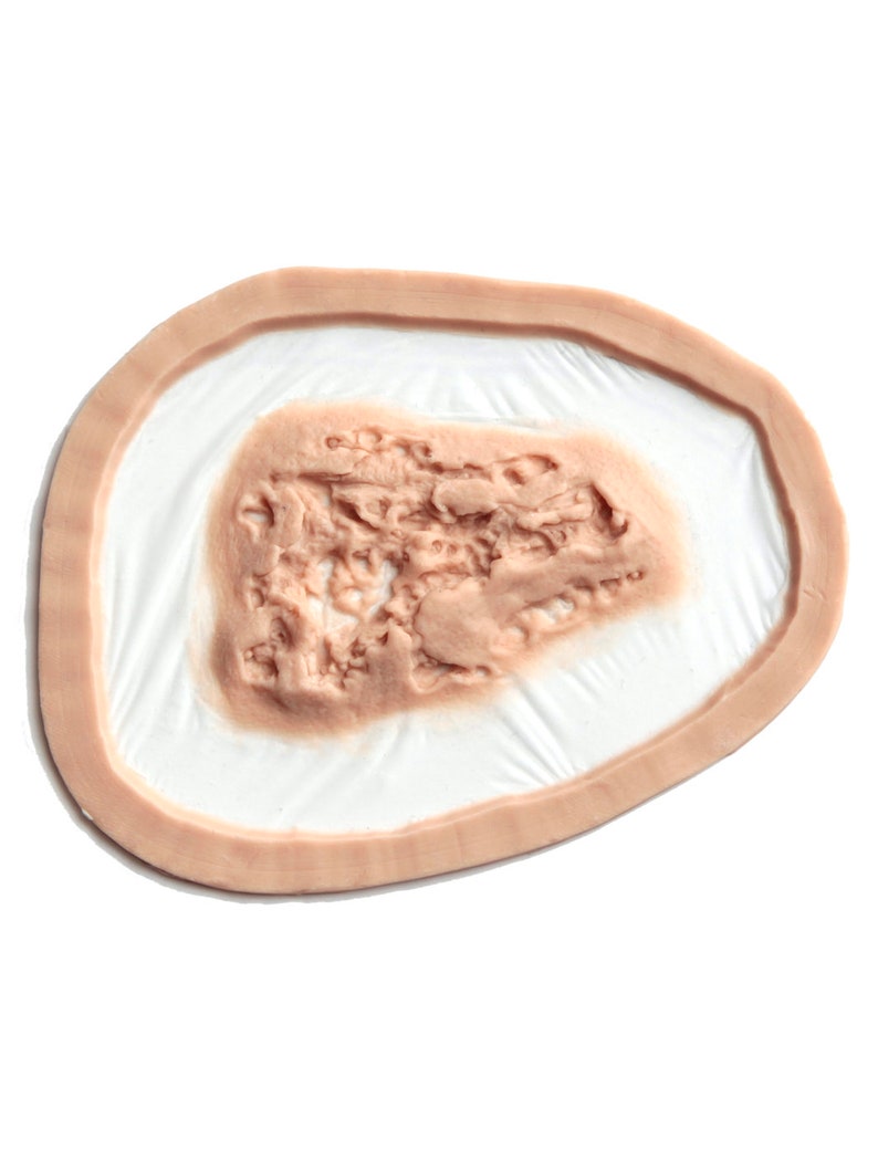 K&ouml;nnte beinhalten: Eine realistisch aussehende, k&uuml;nstliche Wunde mit einer texturierten, fleisch&auml;hnlichen Oberfl&auml;che. Die Wunde ist von einem fleischfarbenen Rand umgeben.