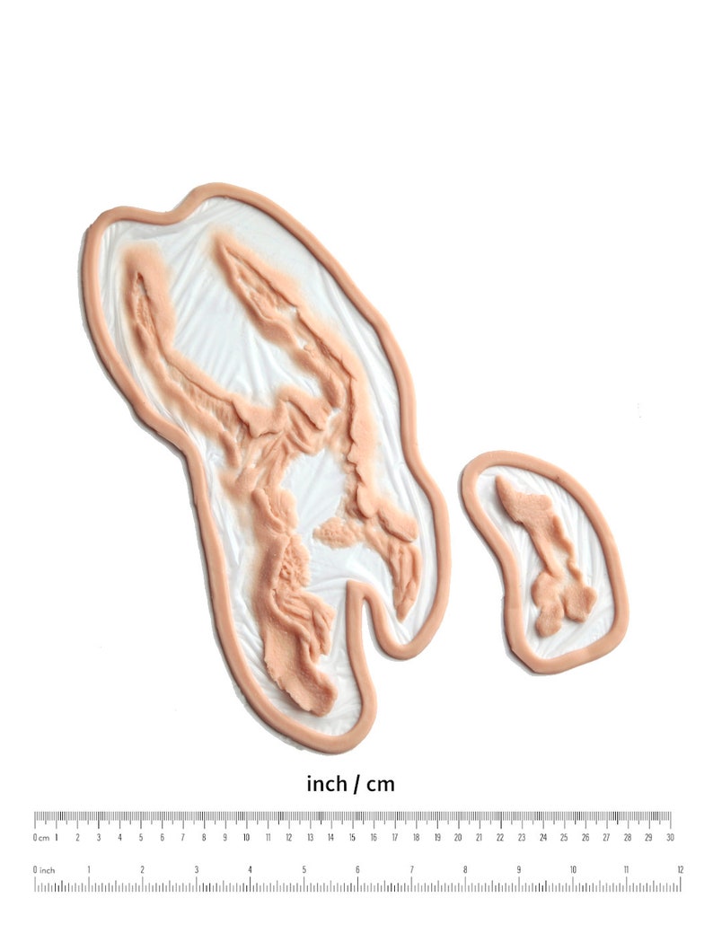 以下が含まれることがあります： シリコン製のリアルなフェイク傷2つ。1つは大きく、もう1つは小さい。傷は白い背景に、スケール用の定規が置かれている。