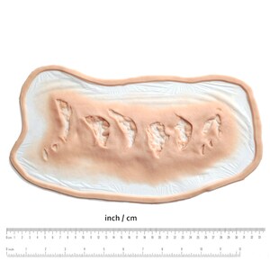 Puede incluir: Primer plano de una herida falsa de aspecto realista, hecha de silicona, con una superficie texturizada y un borde irregular. La herida mide aproximadamente 18 cm de largo y 5 cm de ancho.