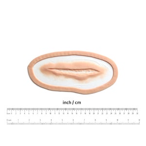 May include: A realistic fake wound for special effects makeup. The wound is a long, thin gash with a raised edge and a slightly pink color. The wound is about 3 inches long.