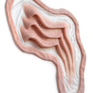 Mermaid Gills 2 / Silicone prosthetic / Halloween prosthetic / MonsterFX / Mermaid cosplay / Latex free / SFX makeup / Neck gills image 2