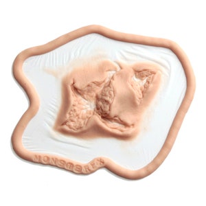 May include: A close-up of a flesh-toned silicone prosthetic wound, designed for special effects makeup. The wound is shaped like a large, jagged tear with a textured surface. The prosthetic is on a white background with a brown border and the word "MONSTEREFX" printed on the border.