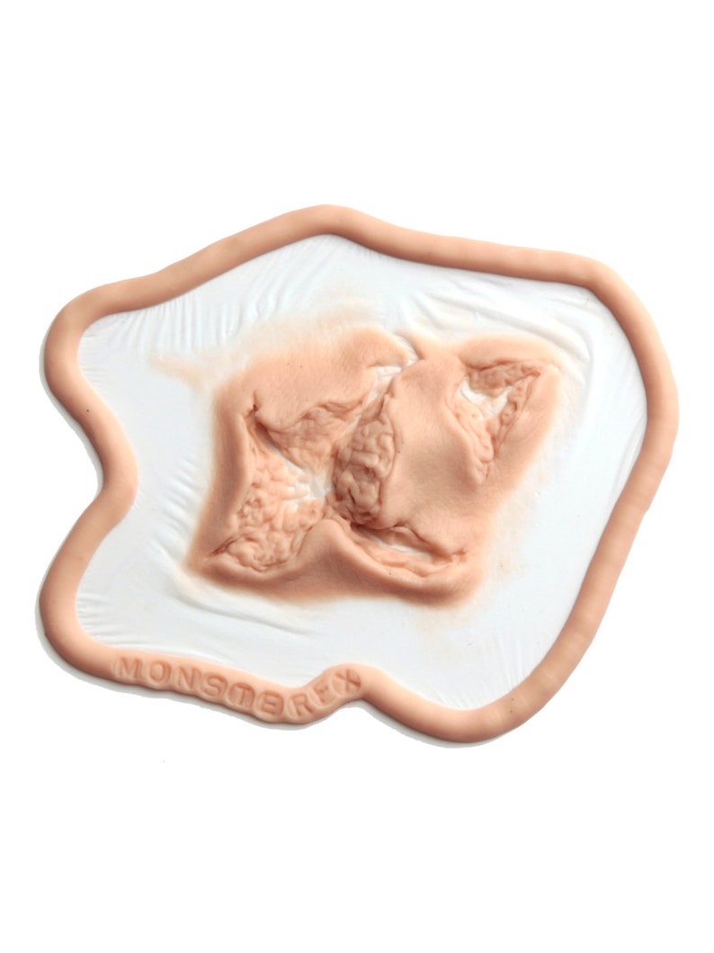 May include: A close-up of a flesh-toned silicone prosthetic wound, designed for special effects makeup. The wound is shaped like a large, jagged tear with a textured surface. The prosthetic is on a white background with a brown border and the word "MONSTEREFX" printed on the border.