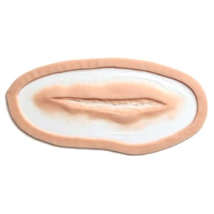May include: A realistic-looking fake wound for special effects makeup. The wound is a long, thin gash with a raised edge and a slightly textured surface.