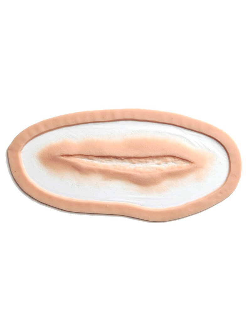 May include: A realistic-looking fake wound for special effects makeup. The wound is a long, thin gash with a raised edge and a slightly textured surface.