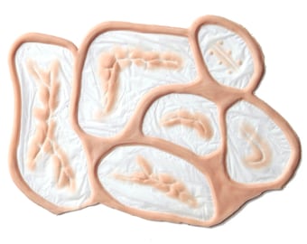 Kleine Narben Set / Silikonprothetik / Halloween-Prothetik / SFX Makeup / Latexfrei / Starterset / Narbenprothetik / Makeup