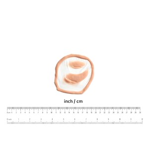 Puede incluir: Una pr&oacute;tesis de herida de color carne con una base clara y dos &aacute;reas elevadas m&aacute;s oscuras. Debajo de la herida hay una regla con marcas en pulgadas y cm, con el texto "inch / cm".