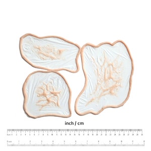 K&ouml;nnte beinhalten: Drei Silikon-Narbe-Make-up-St&uuml;cke in verschiedenen Formen und Gr&ouml;&szlig;en. Die St&uuml;cke sind hautfarben und haben eine strukturierte Oberfl&auml;che, die einer Narbe &auml;hnelt.