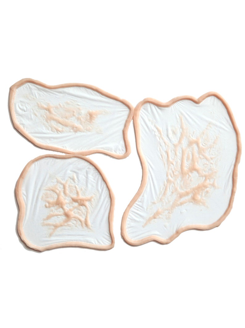 K&ouml;nnte beinhalten: Drei wei&szlig;e Silikonformen mit erhabenen, strukturierten Designs. Die Formen sind unregelm&auml;&szlig;ig oval geformt und haben einen hellpfirsichfarbenen Rand.