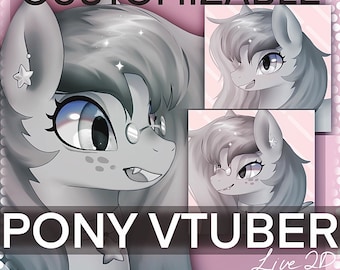 Customizable Pony VTuber Model (Premade, Live2D, for commercial use)